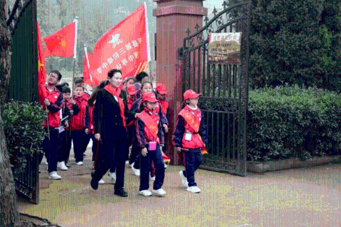 未来产业发展四论①|早改革:老树还要趁早发新芽
